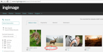 Ingimage page